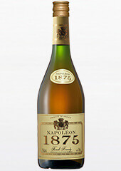 Napoleon 1875
