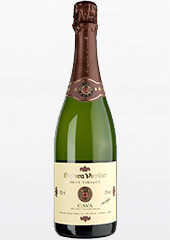 Segura Viudas Cava Brut Vintage